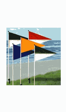 Custom Pennant Flags Signs for Diversified Signs | Dee Sign®